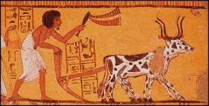 Istoria afacerilor imobiliare - partea I